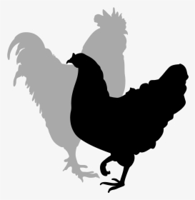 Rooster Silhouette Clip Art - Clipart Hen And Rooster, HD Png Download, Transparent PNG