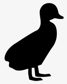Duck Silhouette , Png Download - Show Duck Silhouette, Transparent Png, Transparent PNG