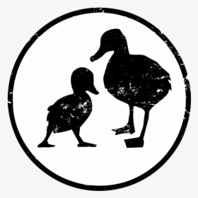 Little Duck Kitchen - Odd Duck, HD Png Download, Transparent PNG