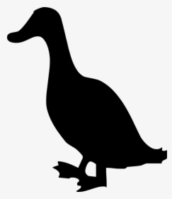 Champagne Canard Duchêne Logo transparent PNG - StickPNG