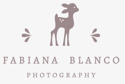 Fabiana Blanco Photography - Deer, HD Png Download, Transparent PNG