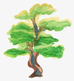 Watercolor Tree Oak Free, HD Png Download, Transparent PNG