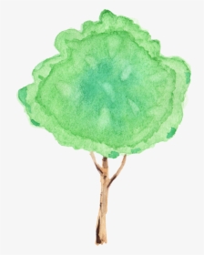 Tree, HD Png Download, Transparent PNG