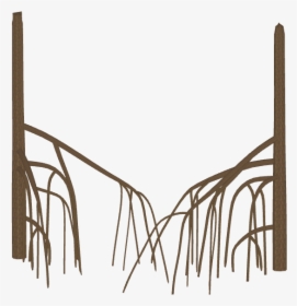 Mangrove Roots - Mangrove Roots Png, Transparent Png, Transparent PNG