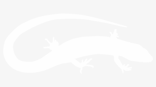 Gecko, HD Png Download, Transparent PNG