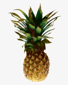 Pineapple Png Image Download - Pineapple Transparent Background, Png Download, Transparent PNG