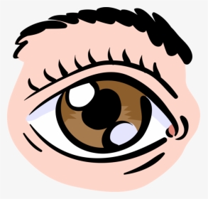 Vector Illustration Of Human Eye Provides Sight - Auge Clipart, HD Png Download, Transparent PNG
