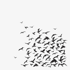 Thumb Image - Wall Painting Of Flock Birds, HD Png Download, Transparent PNG