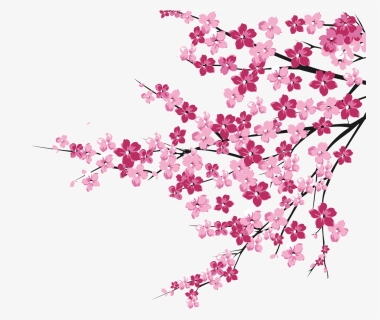 Cherry Blossoms Png - Cherry Blossom Tree Clipart Png, Transparent Png, Transparent PNG