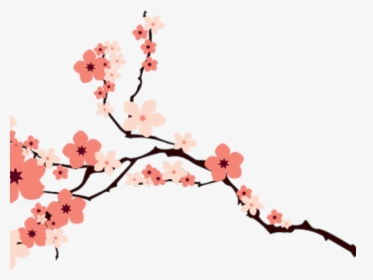 Transparent Cherry Blossom Clipart - Cherry Blossom Vector Png, Png Download, Transparent PNG
