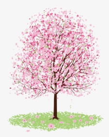 Cherry Blossom Drawing Tree - Vector Cherry Blossom Tree Png, Transparent Png, Transparent PNG