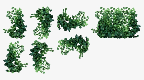 Ivy Clipart Watermelon Vine - Hanging Plants Plan View, HD Png Download, Transparent PNG
