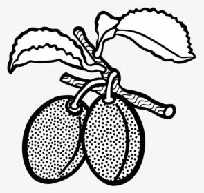 Line Art Plum Drawing Computer Icons Fruit - White And Black Clipart Fruits Plum, HD Png Download, Transparent PNG