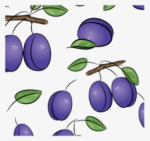 Clip Art Drawing Royalty Free Illustration - Plums Drawings, HD Png Download, Transparent PNG