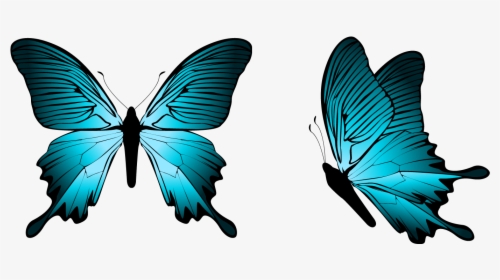 Butterfly Png Clipart - Blue Butterfly Png, Transparent Png, Transparent PNG
