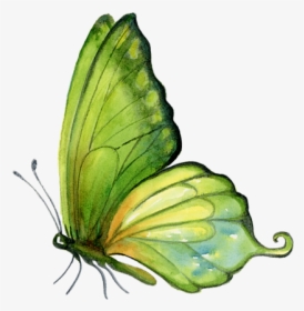 Butterfly Watercolor Png, Transparent Png, Transparent PNG