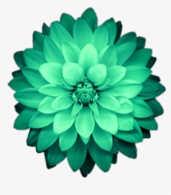 Transparent Green Flower Png - Picsart Green Flower Png, Png Download, Transparent PNG