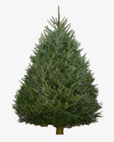 Fir Tree Png Background - Artificial Unlit Christmas Tree Sale, Transparent Png, Transparent PNG