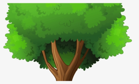 15 Tree Clipart Png For Free Download On Mbtskoudsalg - Tree Clipart Transparent Background, Png Download, Transparent PNG