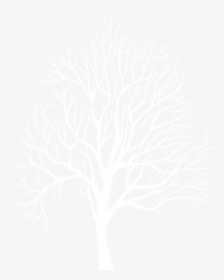 White Tree Silhouette Png , Png Download - White Tree Silhouette Transparent Background, Png Download, Transparent PNG