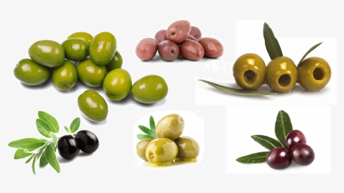 Olives , Png Download - Arbequina Evoo, Transparent Png, Transparent PNG