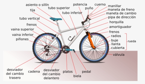 Anatomy Of A Mtb, HD Png Download, Transparent PNG