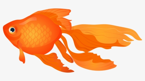 Goldfish Vector Fish Top View - Clip Art Goldfish, HD Png Download, Transparent PNG