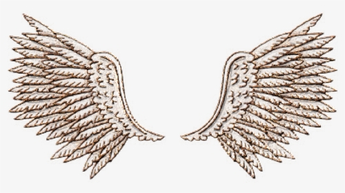 #goldwings #goldangel #angelwings #wingsoverlay #overlay - Eagle, HD Png Download, Transparent PNG
