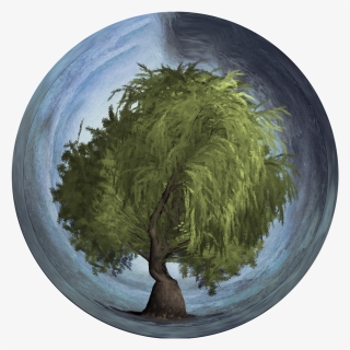 Arbor Day, Tree, Orb, Weeping, Willow, Earth, Sphere - Tree In An Orb, HD Png Download, Transparent PNG