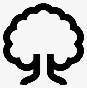 Deciduous Tree Icon - Transparent Tree Icon Png, Png Download, Transparent PNG