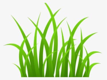 Grass Clipart Black And White, HD Png Download, Transparent PNG