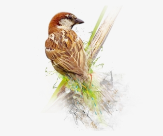 Sparrow Png Image - World Sparrow Day 2019, Transparent Png, Transparent PNG