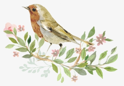 Sparrow Bird Watercolor Painting - Transparent Bird Png Watercolor, Png Download, Transparent PNG