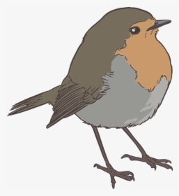 Sparrow Png 17, Buy Clip Art - Robin Bird Silhouette Png, Transparent Png, Transparent PNG