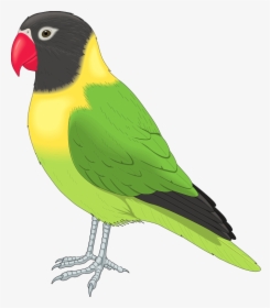Free Clip Art Animals - Pet Bird Clipart, HD Png Download, Transparent PNG