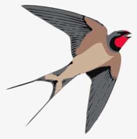 Sparrow Png Free Download - Swallow Clipart, Transparent Png, Transparent PNG