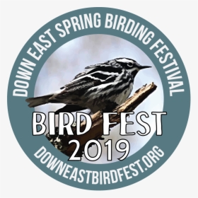 Bird Fest Logo 2019 - House Sparrow, HD Png Download, Transparent PNG