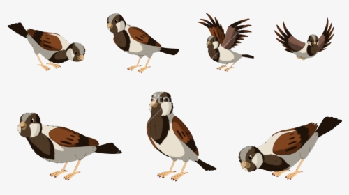 Sparrow Png Free Pic - Cute Png Cartoon Sparrow, Transparent Png, Transparent PNG