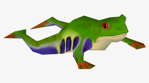 Red-eyed Tree Frog, HD Png Download, Transparent PNG