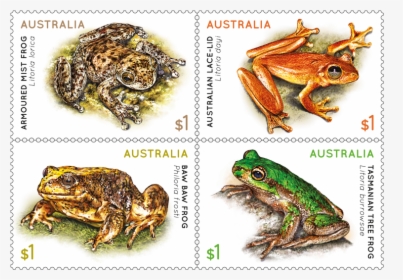 Frogs Stamps Australia, HD Png Download, Transparent PNG