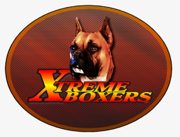 Boxer, HD Png Download, Transparent PNG