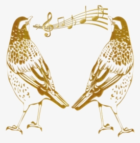 Birds Outline, Birds, Abstract Gold Embossed, Singing - Portable Network Graphics, HD Png Download, Transparent PNG