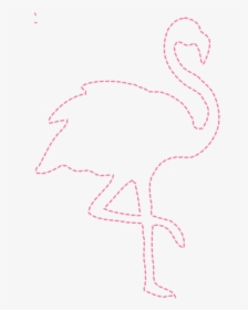 Flamingo Outline Png - Greater Flamingo, Transparent Png, Transparent PNG