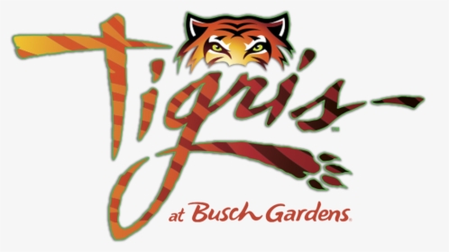 Tigris Roller Coaster Busch Gardens, HD Png Download, Transparent PNG