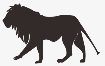 Lion Tiger Cougar Felidae - Lion Country Safari, HD Png Download, Transparent PNG