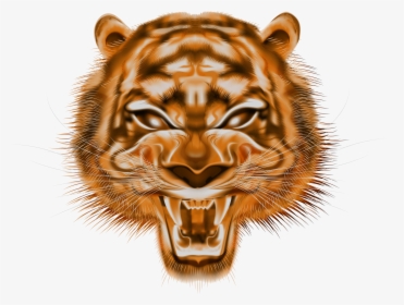 Tiger Clipart High Resolution - Siberian Tiger, HD Png Download, Transparent PNG