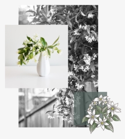 Transparent Jasmine Flower Png - Bouquet, Png Download, Transparent PNG