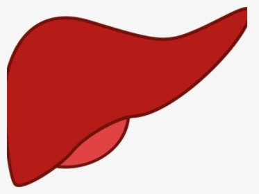 Cartoon Clipart Pancreas - Liver Clipart, HD Png Download, Transparent PNG