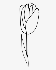 Outline Tulip Coloring Flower - Tulip Outline Png, Transparent Png, Transparent PNG