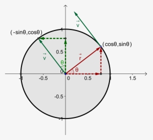 Circle, HD Png Download, Transparent PNG